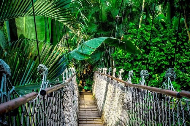 Holiday Letting Trend – Treehouses