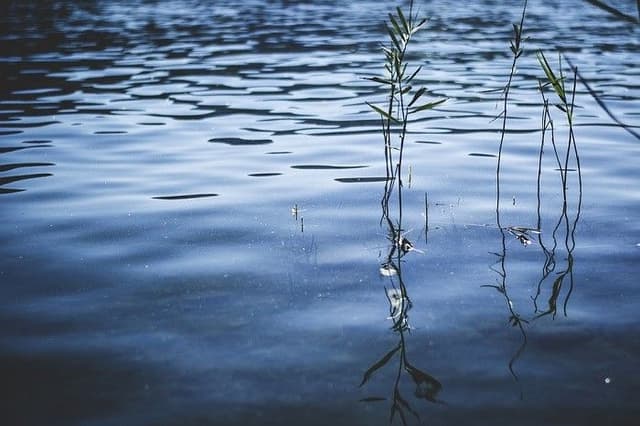 Saving Water at Your Short Term Let