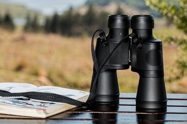 Holiday Rental Marketing for Niche Travel